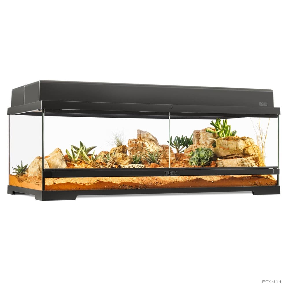 Pro Terrarium de Cristal Exo Terra Grande 90x45cm