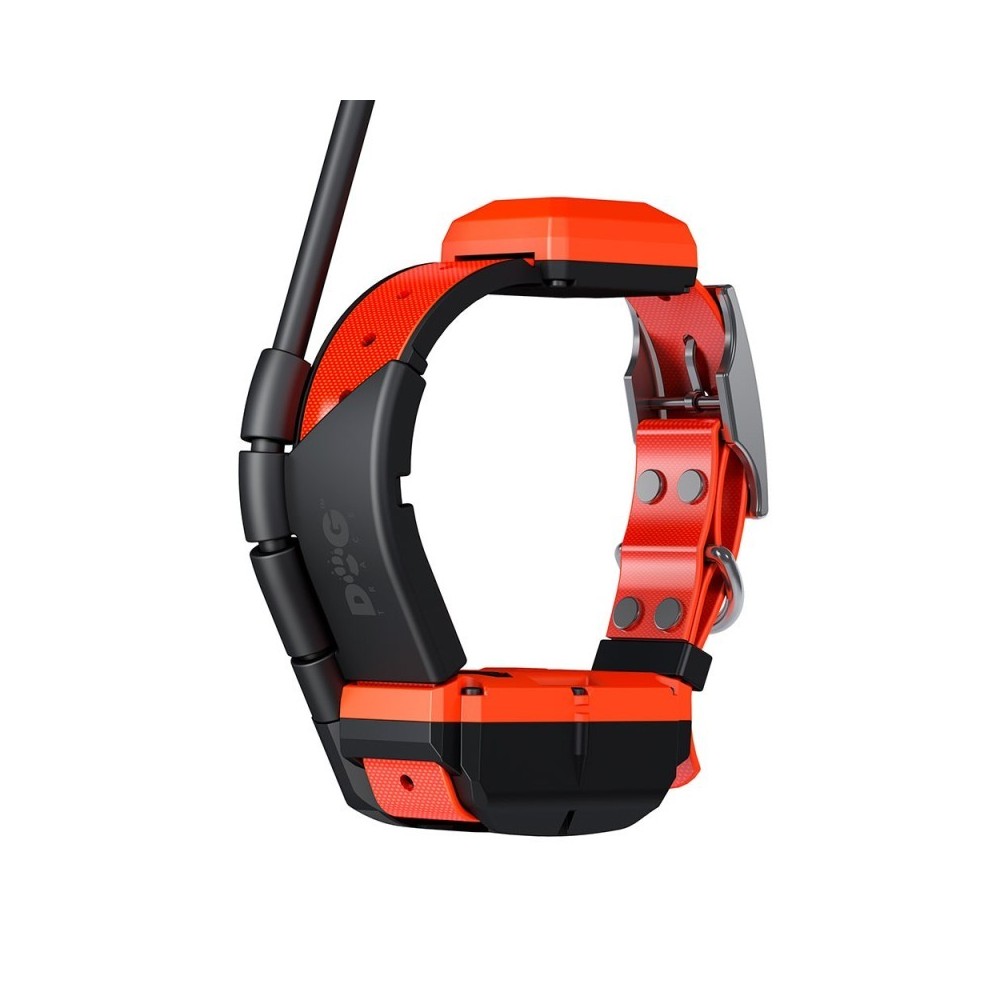 Collar DogTrace X40