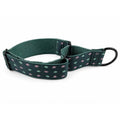Collar martingale de nylon Ibáñez Glam