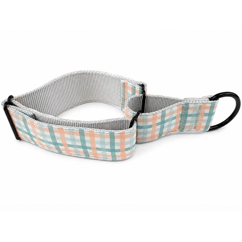 Collar martingale de nylon Ibáñez Glam