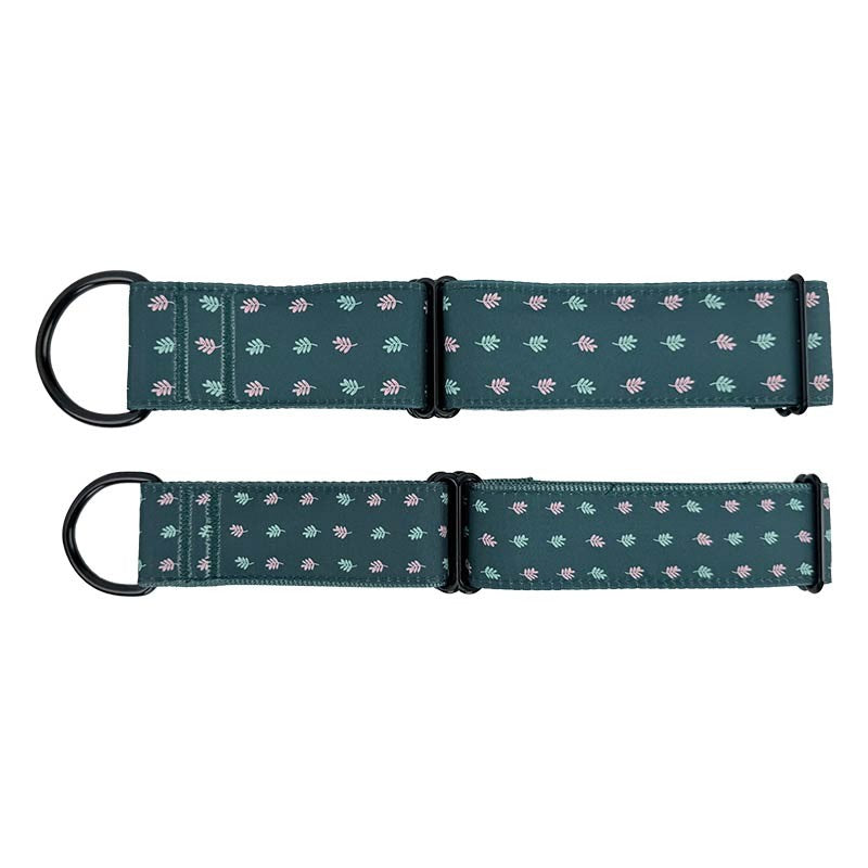 Collar martingale de nylon Ibáñez Glam