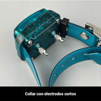 Radio collar educativo Dogtrace d-control Easy Mini+