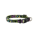 YAGU PASEO COLLAR ELASTICO SAFARI T-U 25-35 x 1 CM