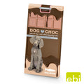 DUVO DOG CHOC SALMON 100 GR