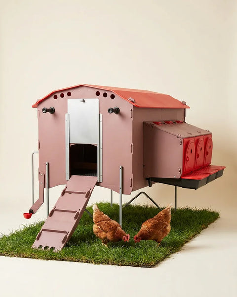 Animales de granja
