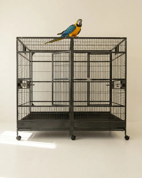 Pájaros