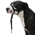 Dog guider Ibáñez Dogway