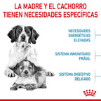 Royal Canin Medium Starter Pienso para Perros