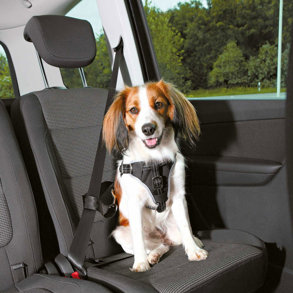 Arnés para Coche Dog Comfort