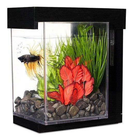 Bettera Ez Care Kit Marina Betta 2.5 lts