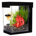 Bettera Ez Care Kit Marina Betta 2.5 lts