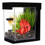 Bettera Ez Care Kit Marina Betta 2.5 lts