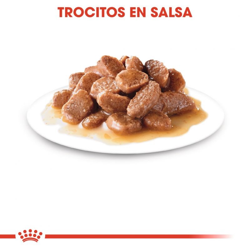 Royal Canin Salsa Urinary Care 12x85g
