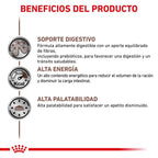 Royal Canin Veterinary Canine Gastro Intestinal Moderate Calorie