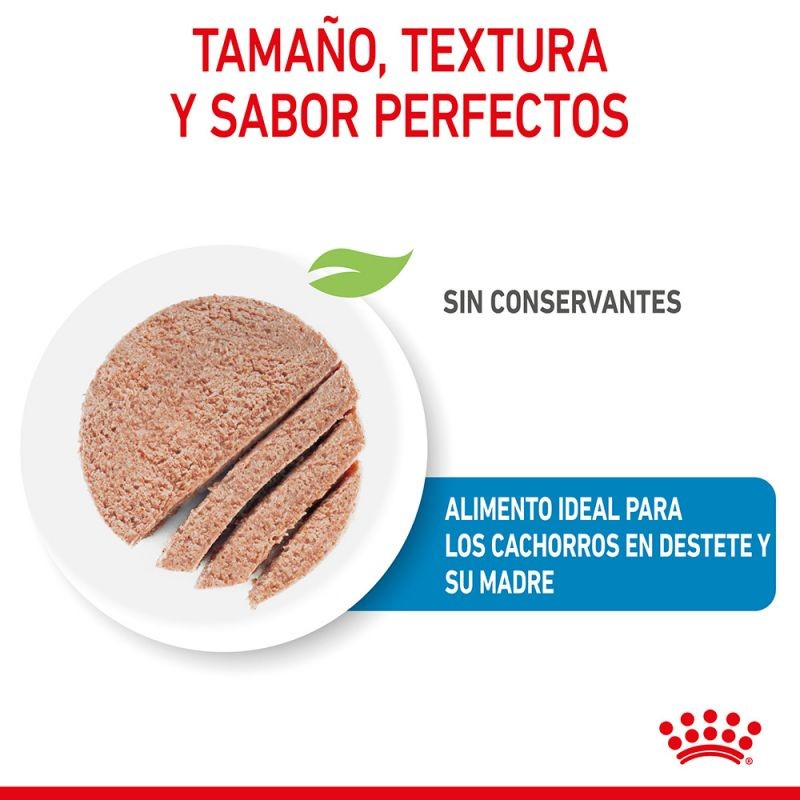 Royal Canin Starter Mousse12x195gr