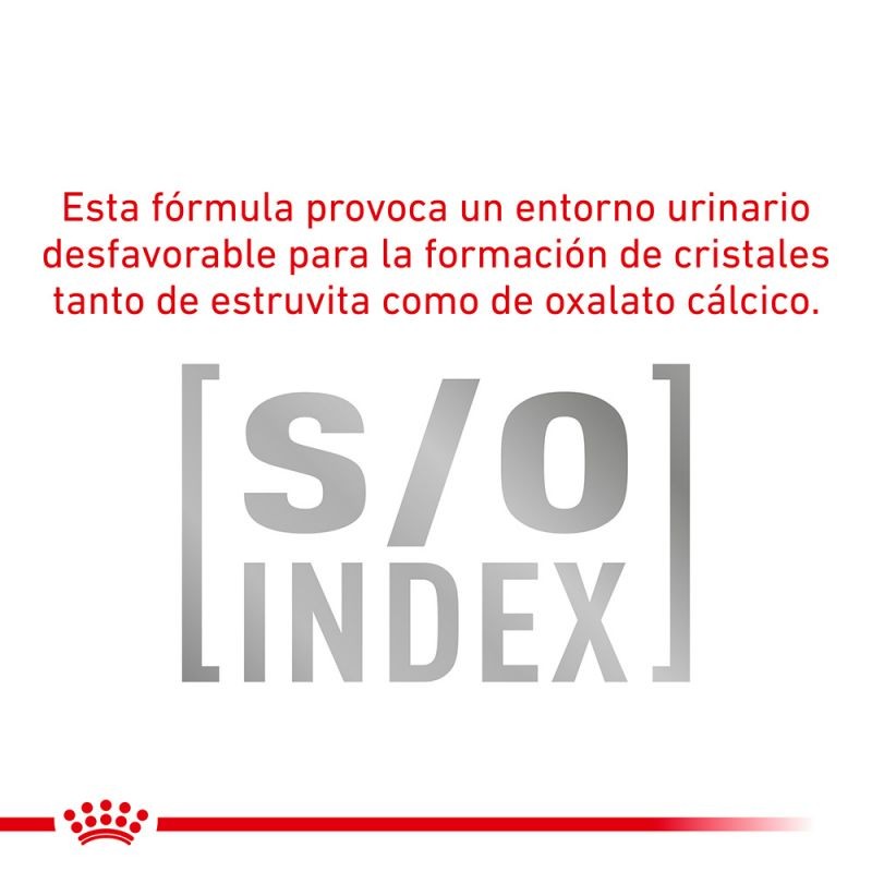 Royal Canin Diet Feline Diabetic 12x85g