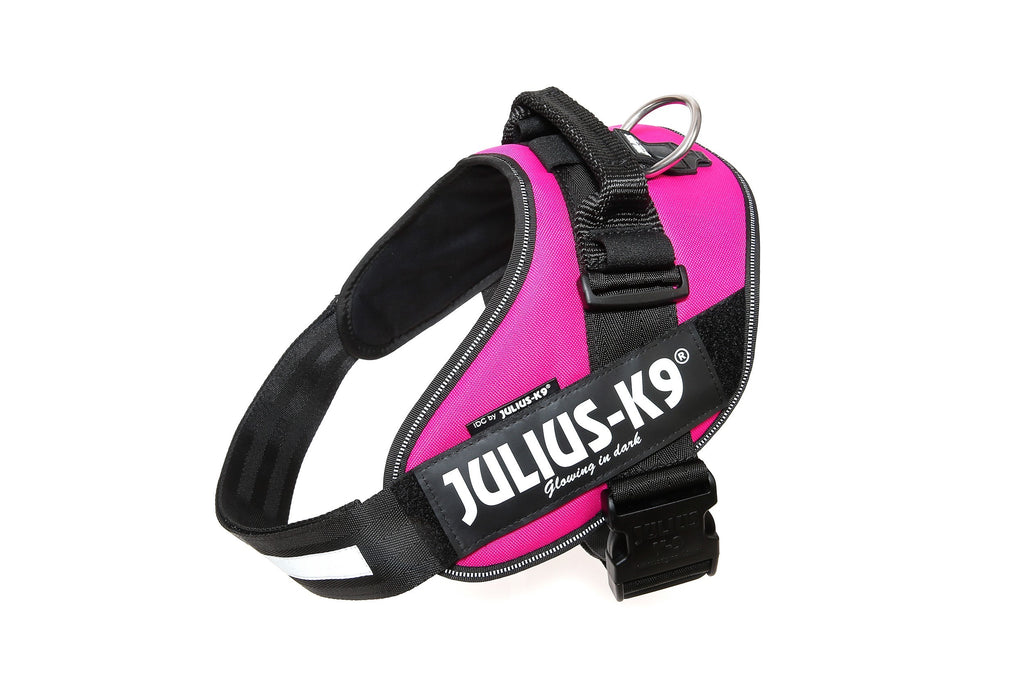 Arnés Julius k-9 IDC Fucsia