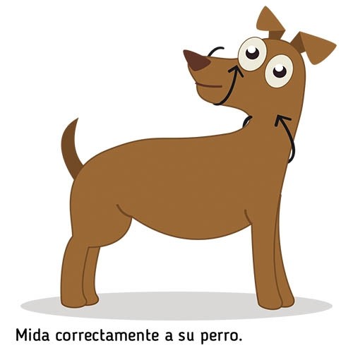 Dog guider Ibáñez Dogway