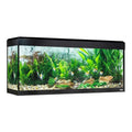 Acuario Fluval Roma LED Bluetooth 240L