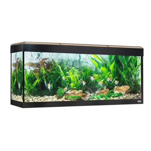 FLUVAL  ROMA 240 Acuario + Mesa Nogal