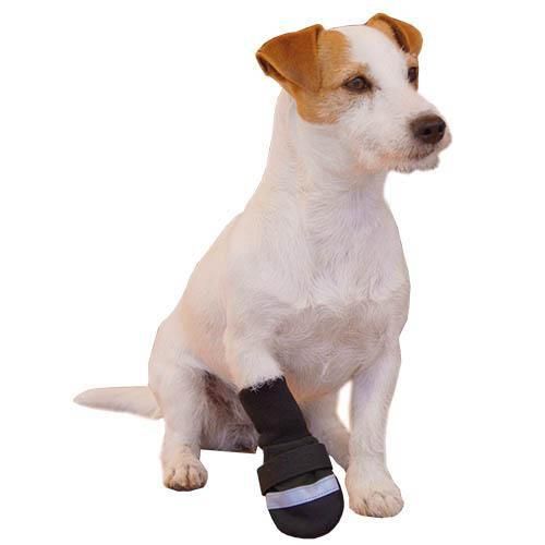 Botas para perros Rainout 2und