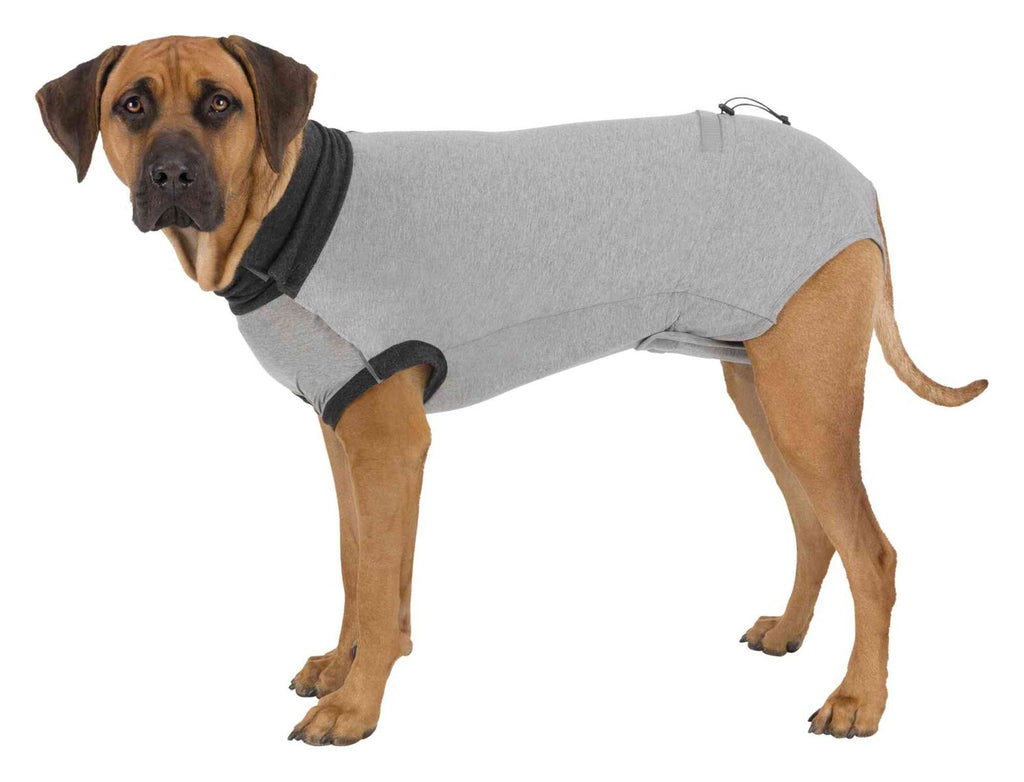 Body Protector