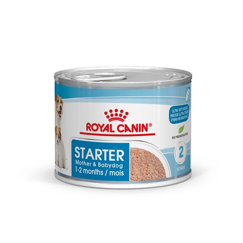 Royal Canin Starter Mousse12x195gr