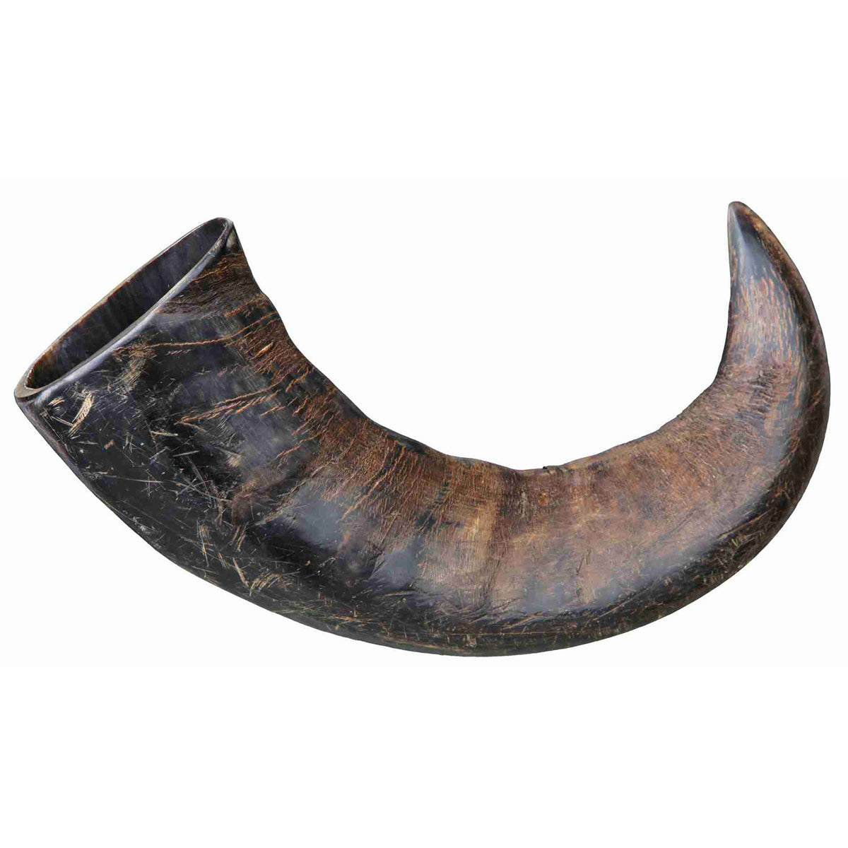Astas de Búfalo Masticables