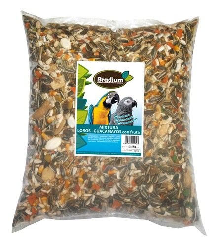 Bradium Comida Loro
