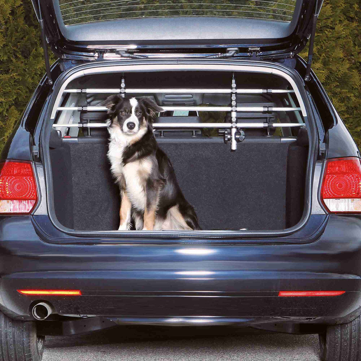 Barras Protectoras Coche
