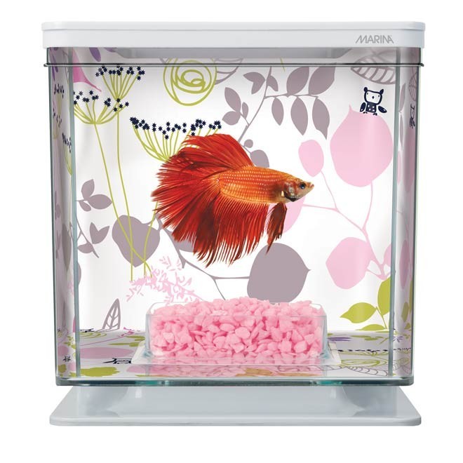 Bettera Kit Marina Betta