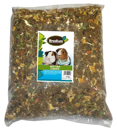 Comida Cobaya Bradium