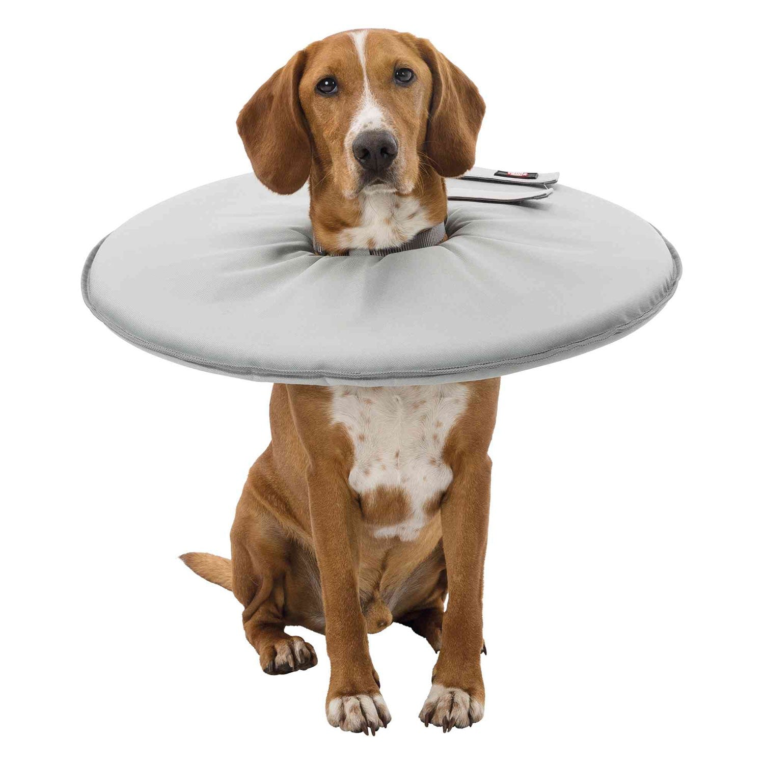 Collar Veterinario