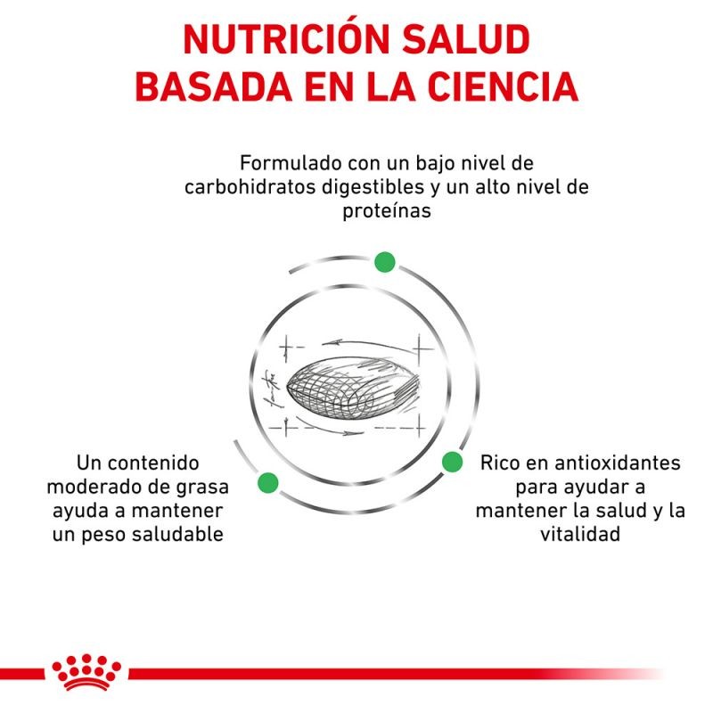 Royal Canin Diet Feline Diabetic Pienso Para Gatos
