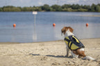 Chaleco Salvavidas para Perros