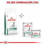 Royal Canin Veterinary Canine Diabetic Pienso Para Perros