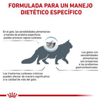 Royal Canin Diet Feline Anallergenic Pienso Para Gatos