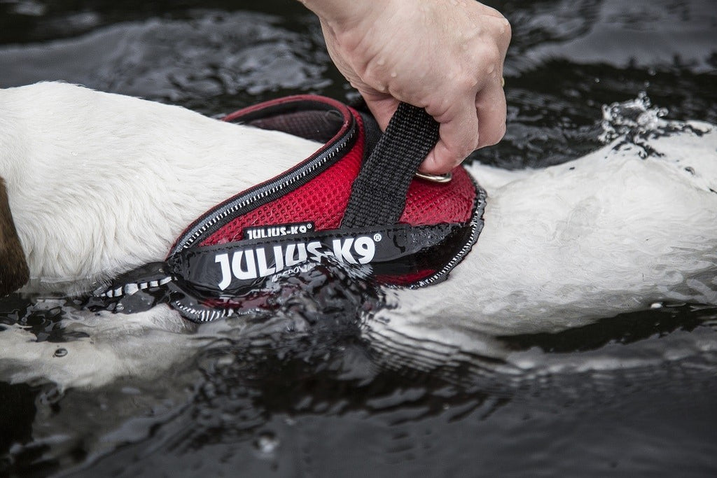 Arnés Julius k-9 IDC Powair Rojo