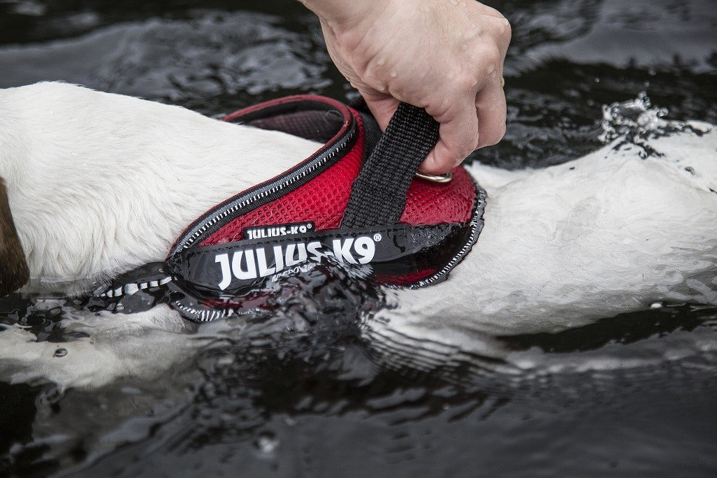 Arnés Julius k-9 IDC Powair Rojo