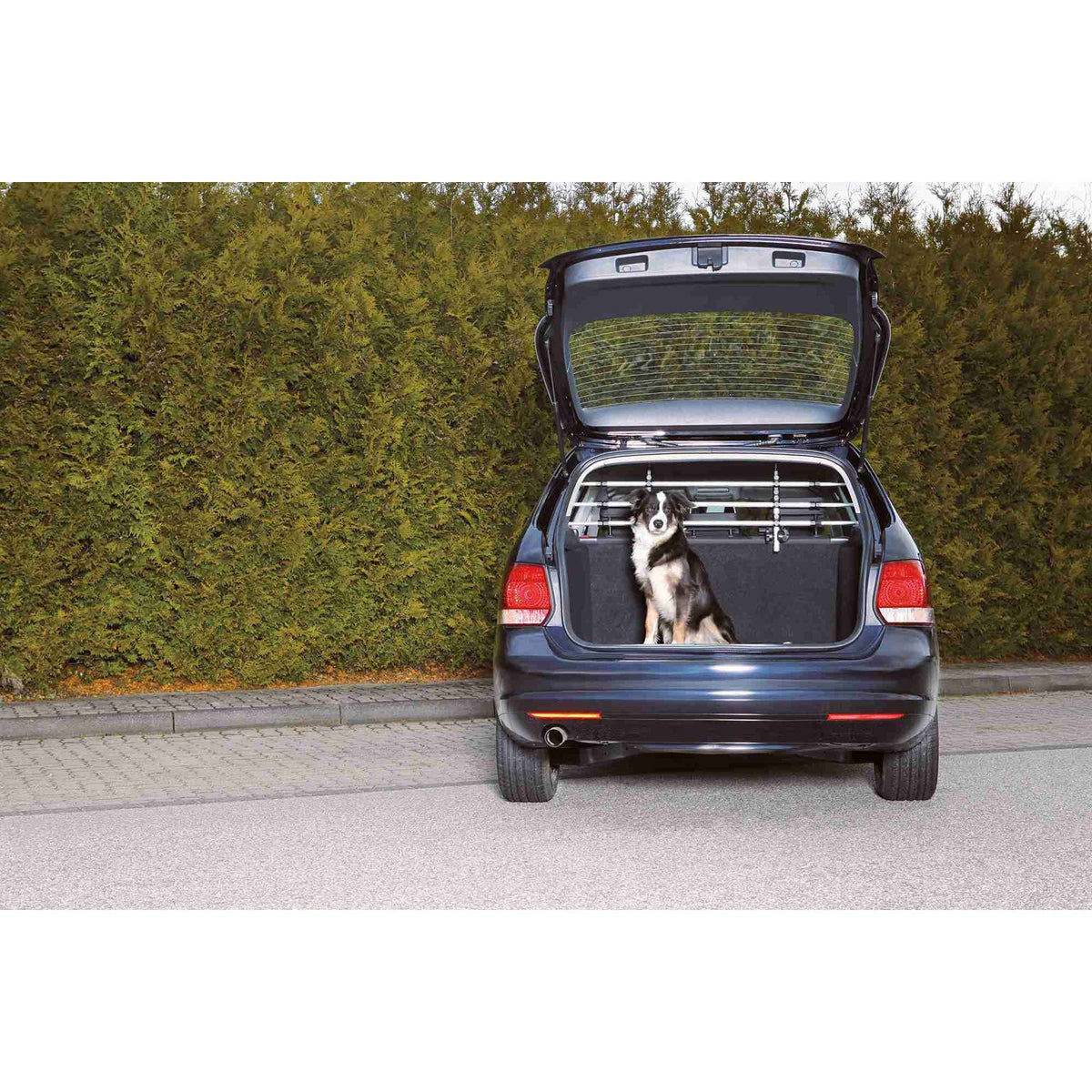 Barras Protectoras Coche