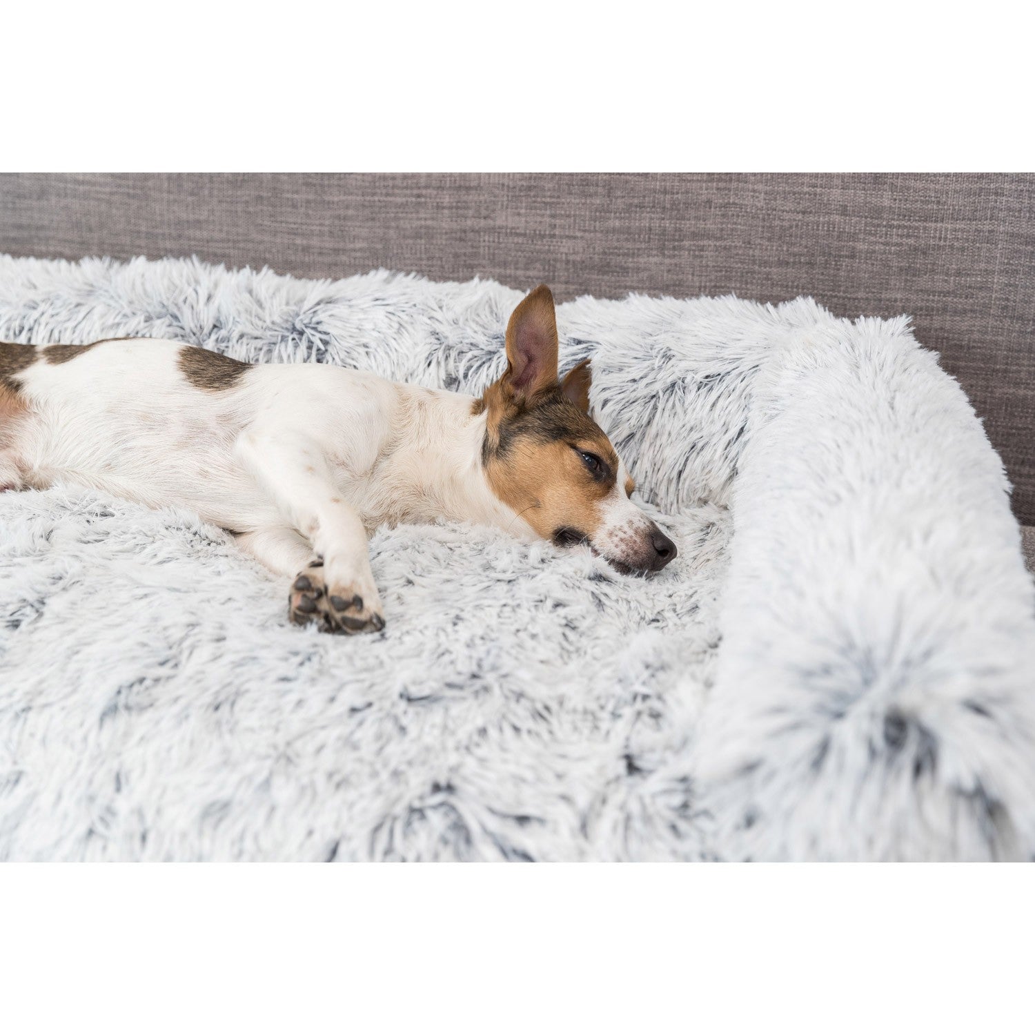Protector de Muebles Cama para Perros Harvey