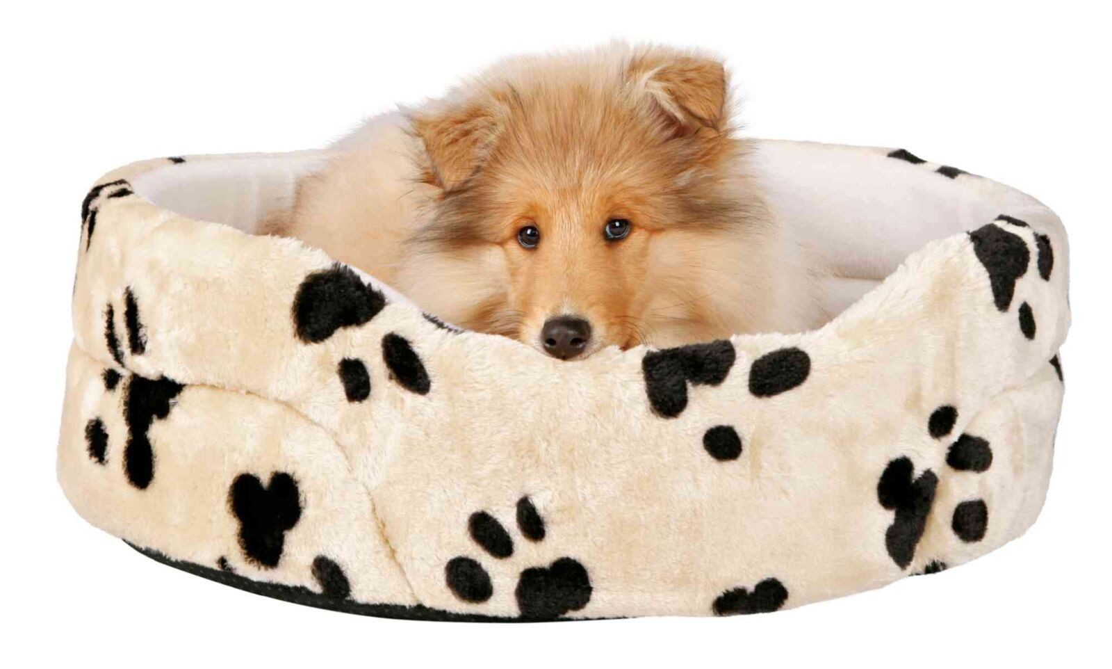 Trixie Cama Charly