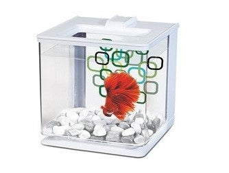 Bettera Ez Care Kit Marina Betta 2.5 lts