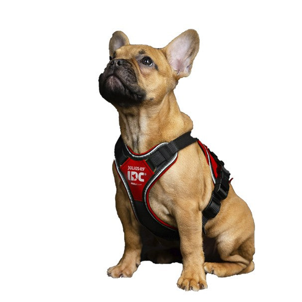 Arnés Julius K9 Longwalk Rojo