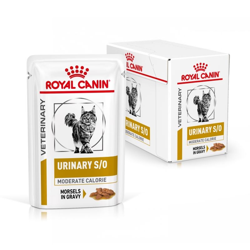 Royal Canin Diet Feline Gastrointestinal Moderate Calorie