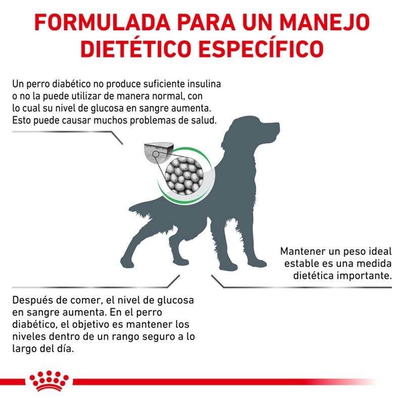 Royal Canin Veterinary Canine Diabetic Pienso Para Perros
