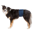 Banda Abdomen para Perros Macho