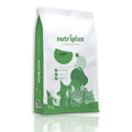 Pienso Nutriplus para gatos adultos