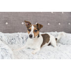 Protector de Muebles Cama para Perros Harvey