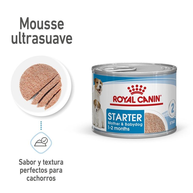 Royal Canin Starter Mousse12x195gr
